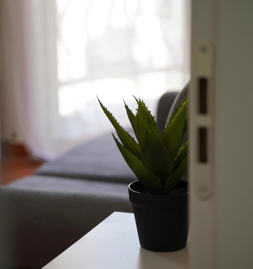 Stylish Apartment Near Tirana Center ภายนอก รูปภาพ